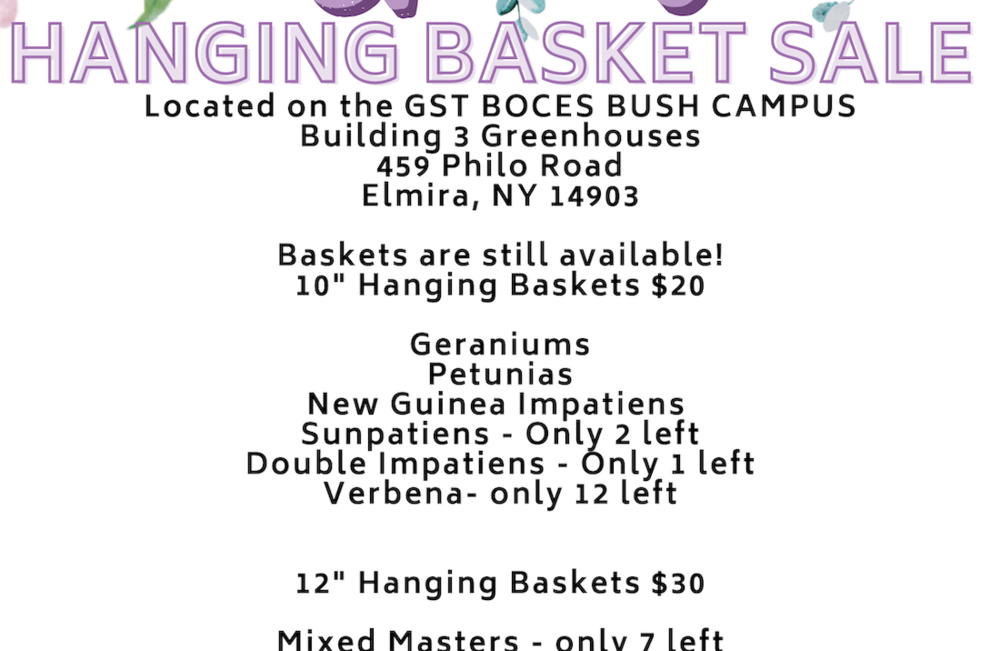 Hanging Basket Sale
